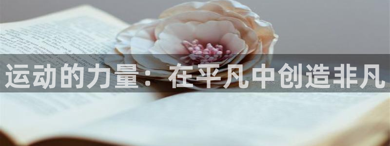 熊猫体育平台官网
