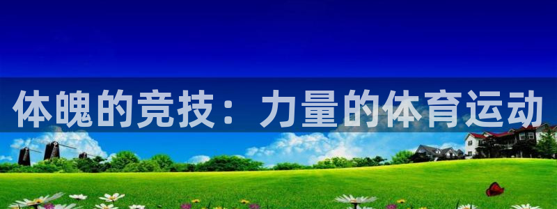 熊猫体育文化有限公司