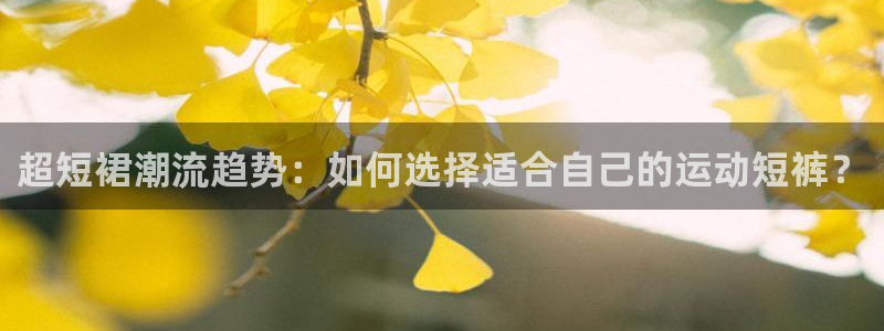 熊猫体育在线
