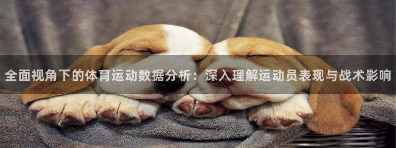 熊猫体育官网首页入口