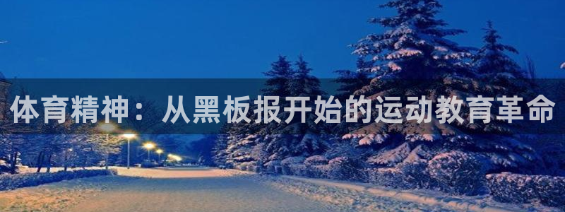 熊猫体育怎么样