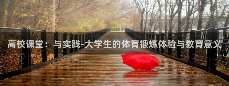成都金熊猫体育