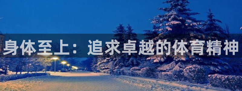 熊猫体育文化有限公司