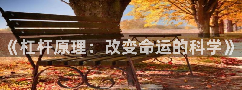 熊猫体育公园价格