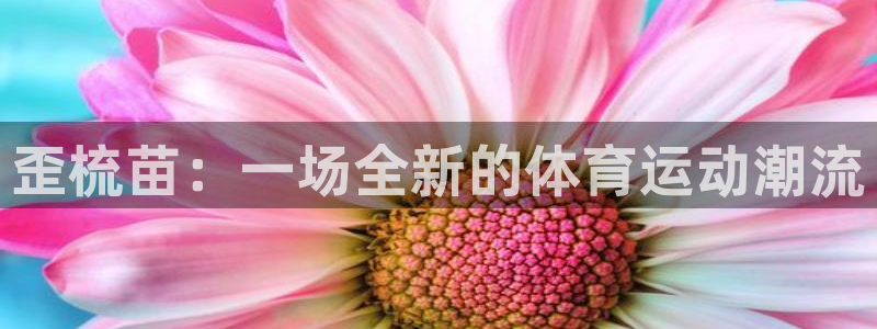 熊猫体育官网首页入口