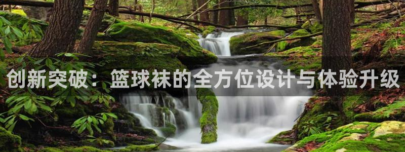 成都熊猫体育公园