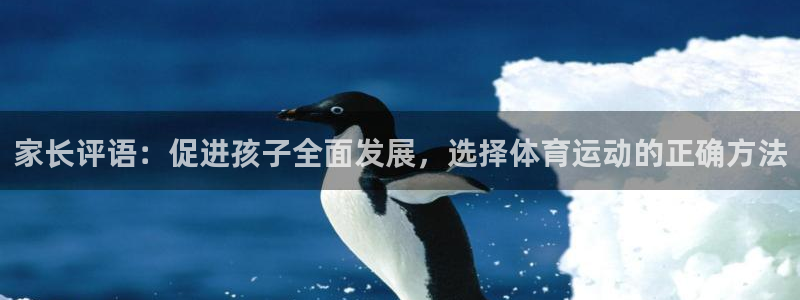 熊猫体育网址