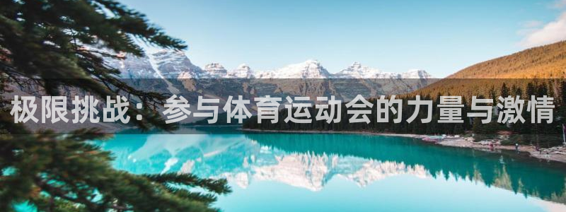 熊猫体育平台