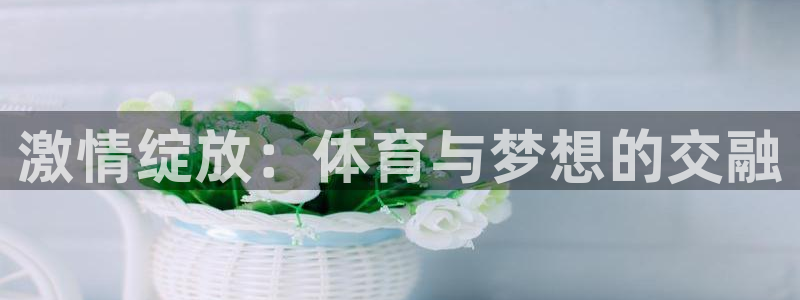 熊猫体育网址